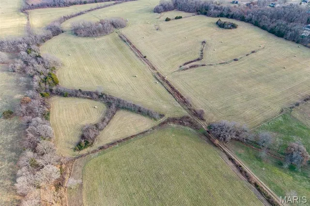 $825,000 | Tbd Pine Tree Drive, Lebanon, MO 65536