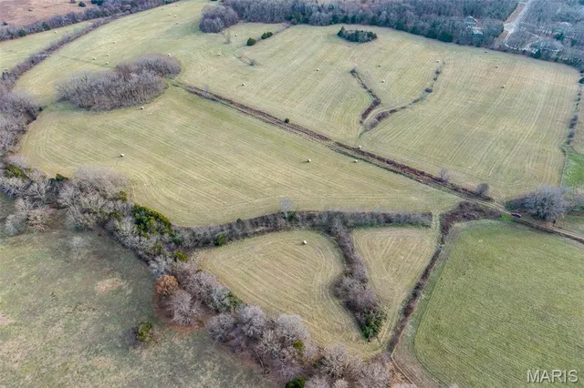 $825,000 | Tbd Pine Tree Drive, Lebanon, MO 65536