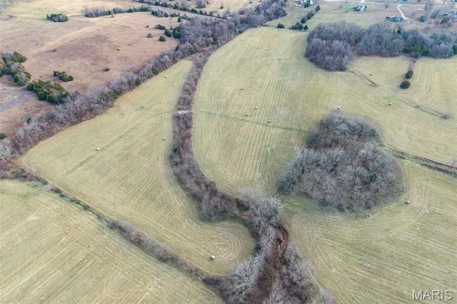 $825,000 | Tbd Pine Tree Drive, Lebanon, MO 65536