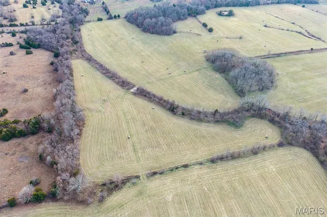 $825,000 | Tbd Pine Tree Drive, Lebanon, MO 65536