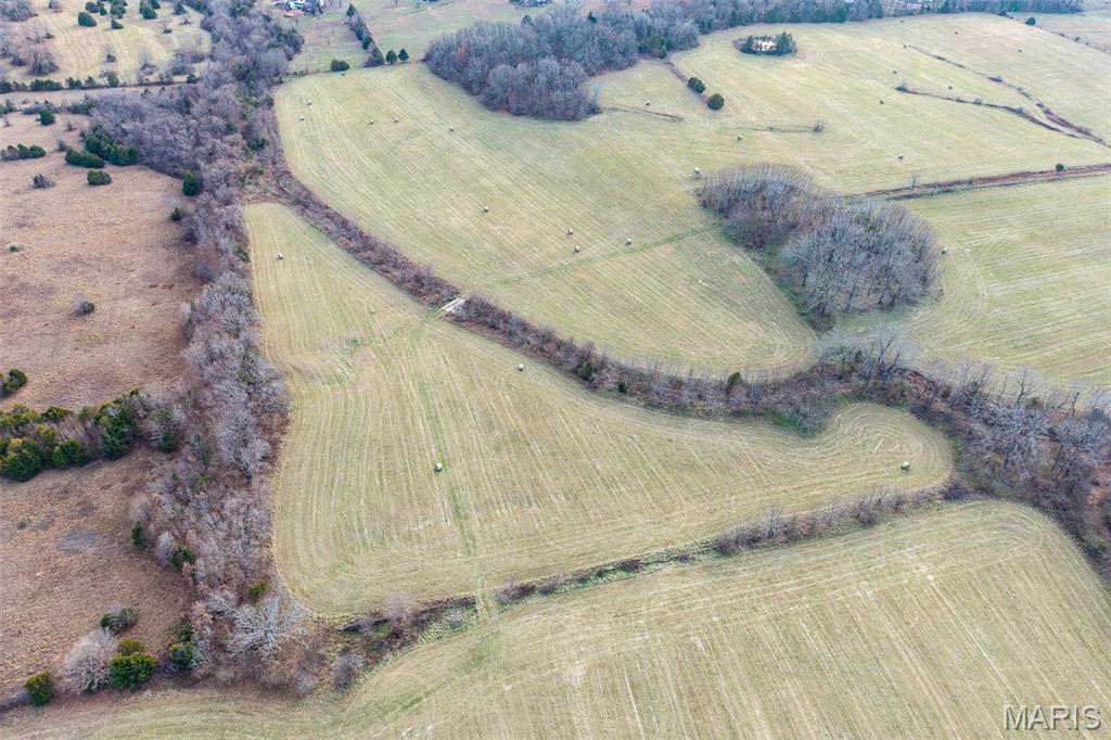 Tbd Pine Tree Drive Lebanon, MO 65536 - Photo 25 of 50