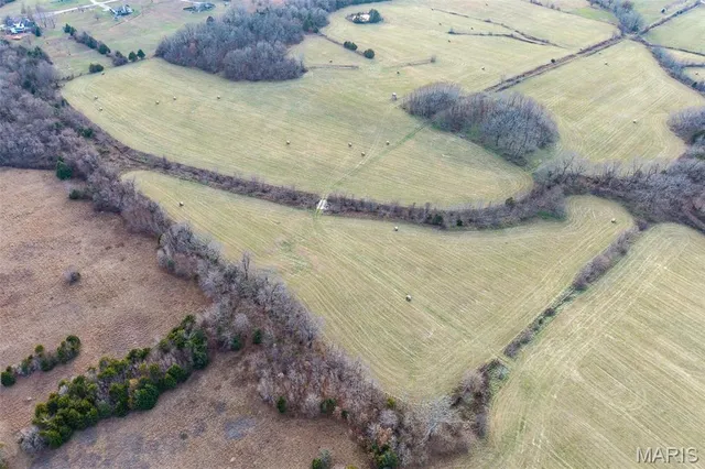 $825,000 | Tbd Pine Tree Drive, Lebanon, MO 65536