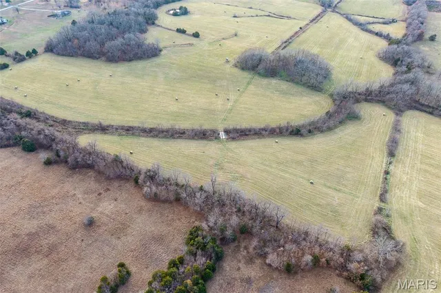 $825,000 | Tbd Pine Tree Drive, Lebanon, MO 65536