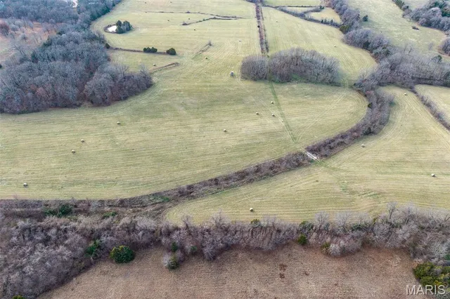 $825,000 | Tbd Pine Tree Drive, Lebanon, MO 65536