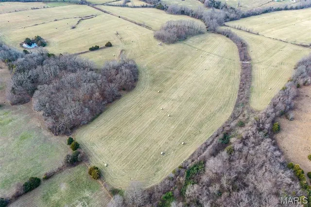 $825,000 | Tbd Pine Tree Drive, Lebanon, MO 65536