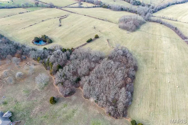 $825,000 | Tbd Pine Tree Drive, Lebanon, MO 65536