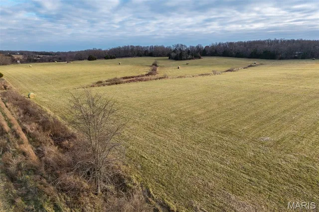 $825,000 | Tbd Pine Tree Drive, Lebanon, MO 65536