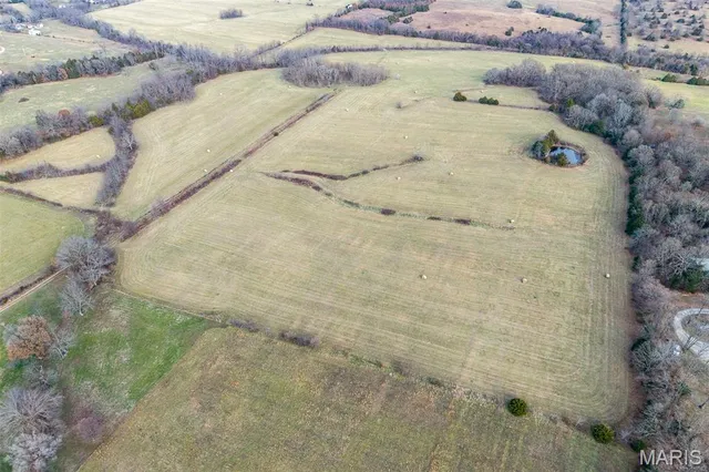 $825,000 | Tbd Pine Tree Drive, Lebanon, MO 65536