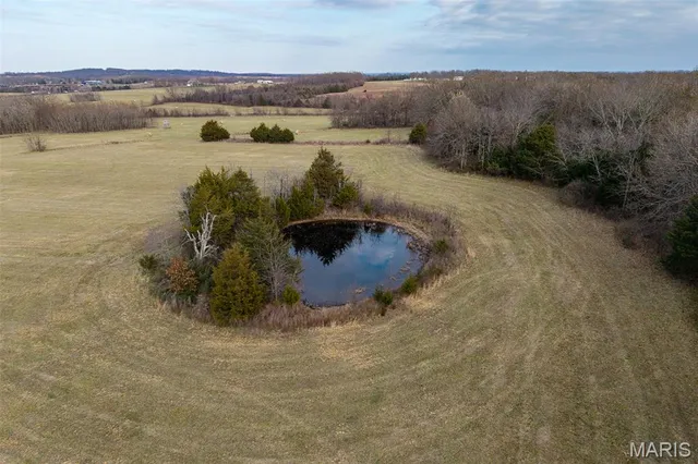 $825,000 | Tbd Pine Tree Drive, Lebanon, MO 65536