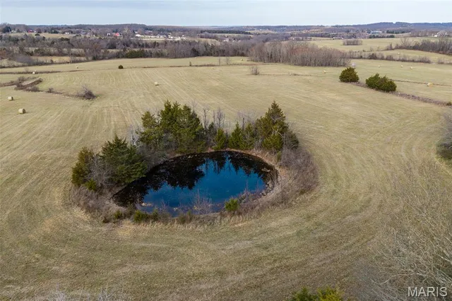 $825,000 | Tbd Pine Tree Drive, Lebanon, MO 65536