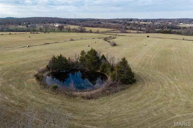 $825,000 | Tbd Pine Tree Drive, Lebanon, MO 65536