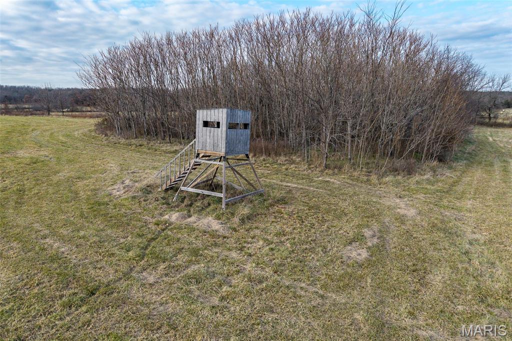 Tbd Pine Tree Drive Lebanon, MO 65536 - Photo 41 of 50
