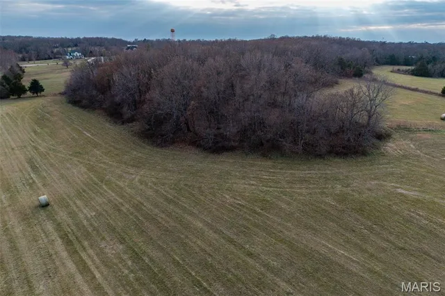 $825,000 | Tbd Pine Tree Drive, Lebanon, MO 65536