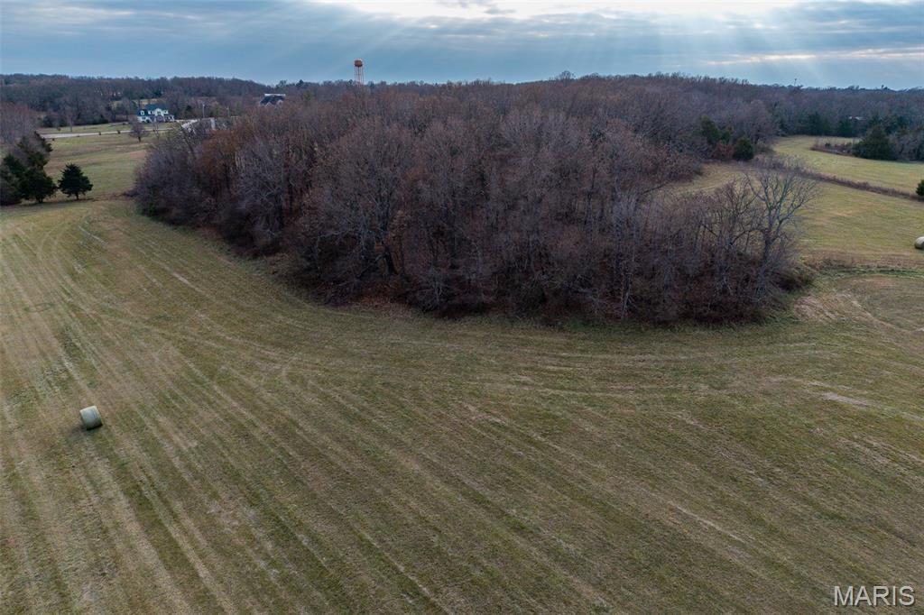 Tbd Pine Tree Drive Lebanon, MO 65536 - Photo 42 of 50