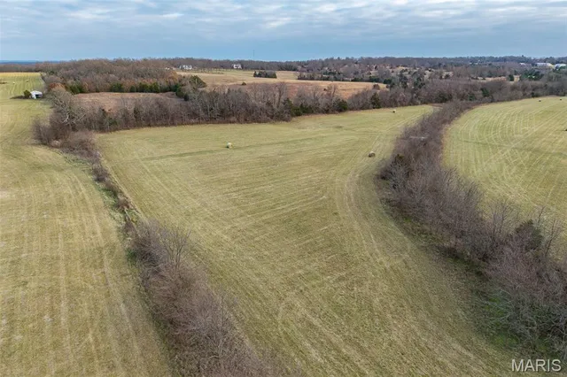 $825,000 | Tbd Pine Tree Drive, Lebanon, MO 65536