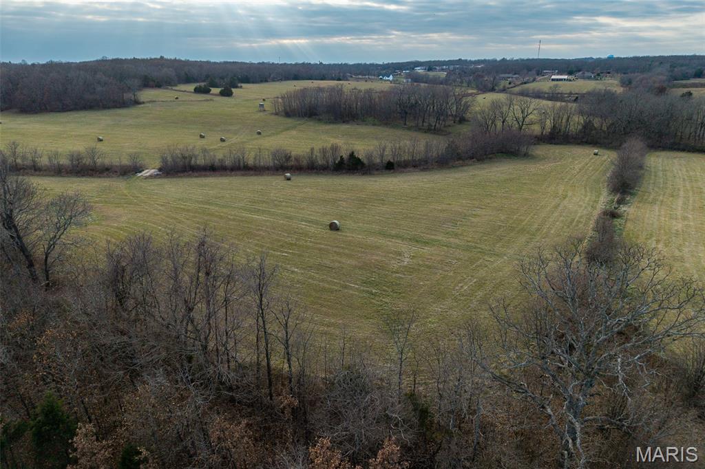 Tbd Pine Tree Drive Lebanon, MO 65536 - Photo 47 of 50