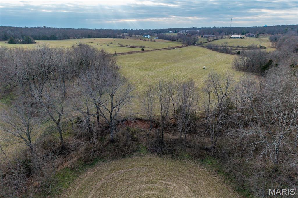 Tbd Pine Tree Drive Lebanon, MO 65536 - Photo 48 of 50