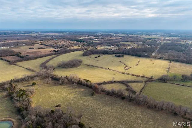 $825,000 | Tbd Pine Tree Drive, Lebanon, MO 65536