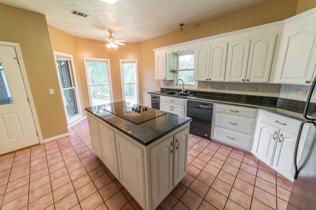 198 Scott Road Ellerslie, GA 31807 - Photo 8 of 34 Gallery Image 8