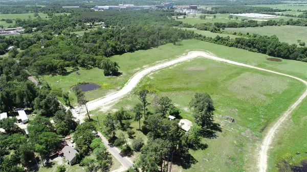 a view of a green yard with large trees