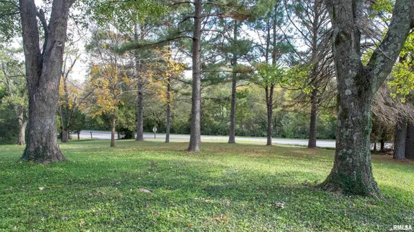 a view of a trees in a park