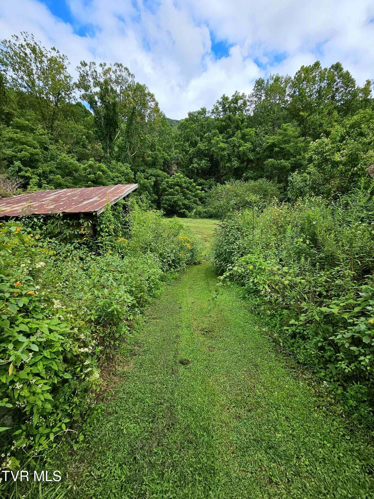 1206 Irondale Road Big Stone Gap, VA 24219 - Photo 4 of 9 4