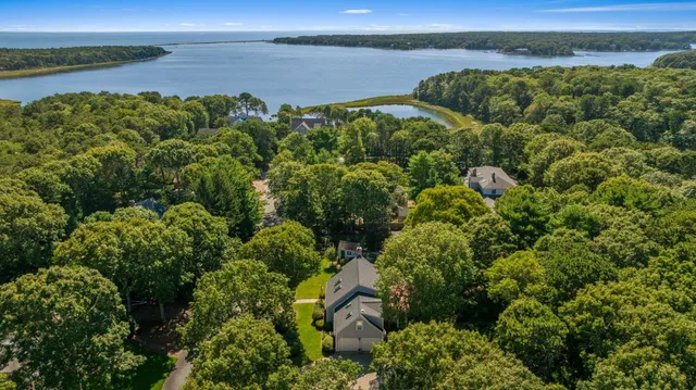 a view of a lake with a mountain in the background