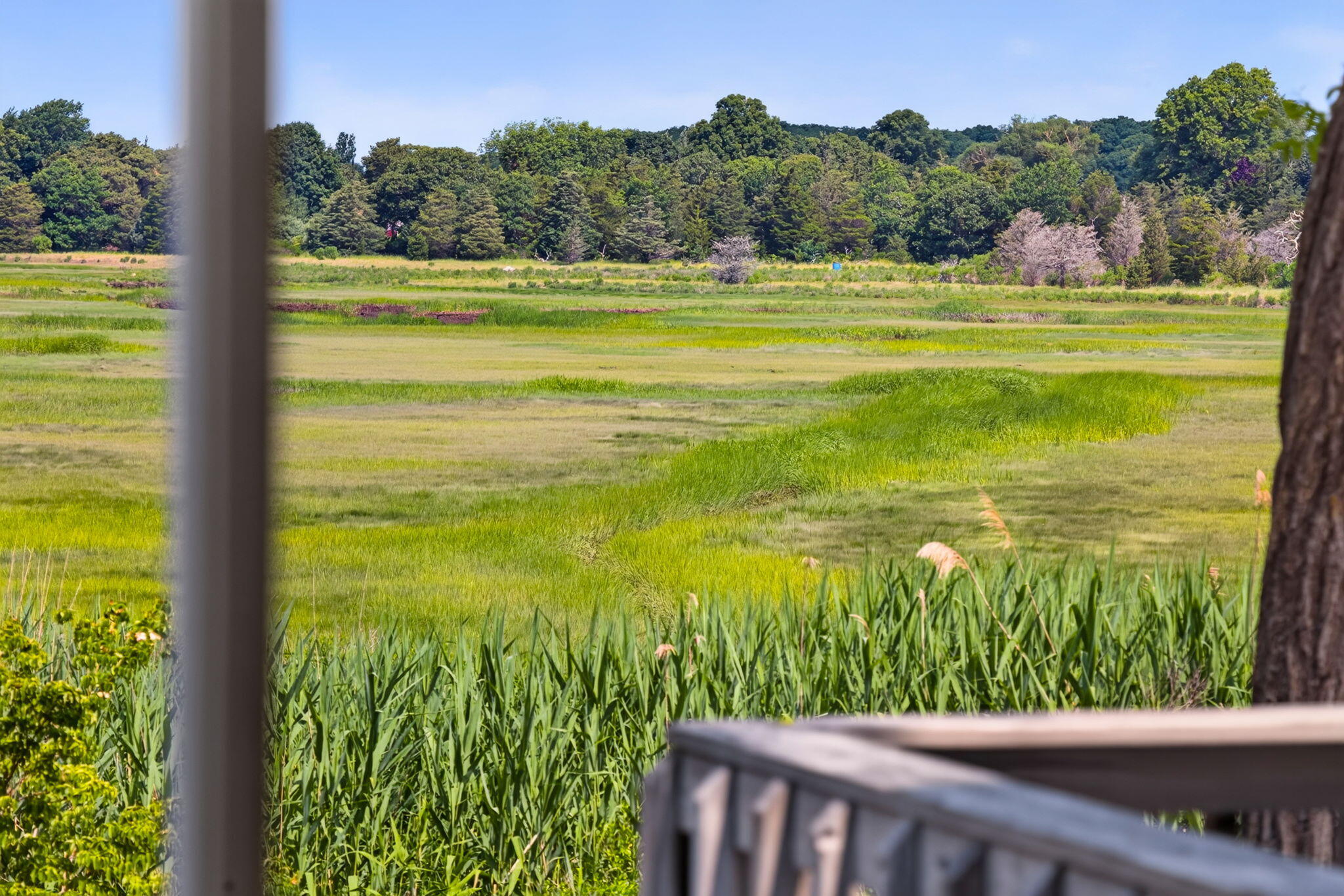 181 Rock Harbor Road Orleans, MA 02653 - Photo 6 of 56 45-8P0A7724