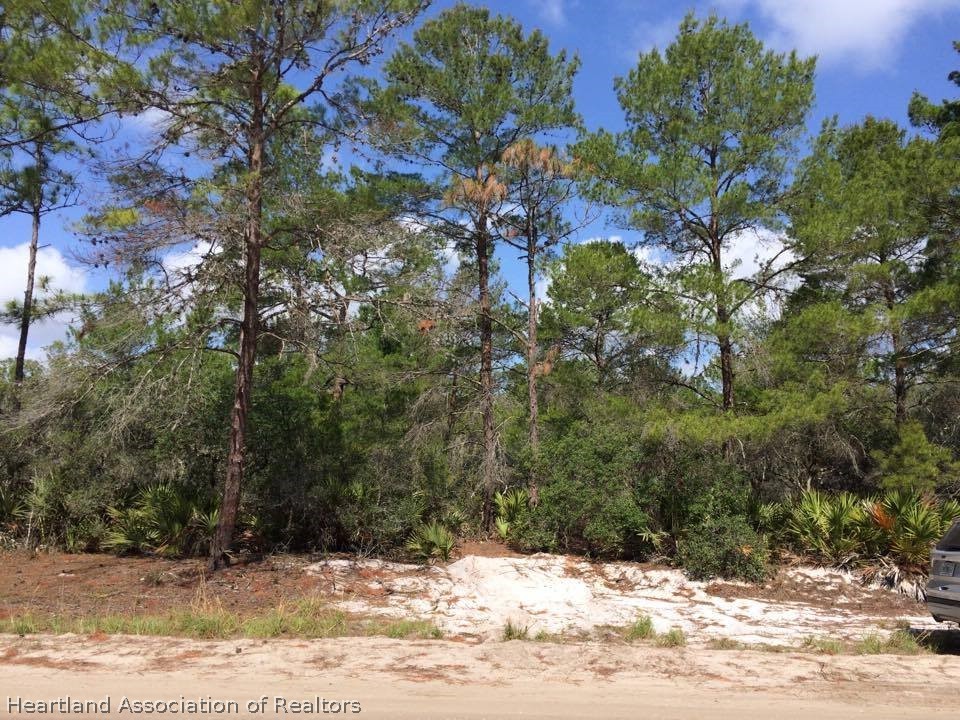 211 Nursery Road Sebring, FL 33875 - Photo 2 of 8 Gallery Image 2