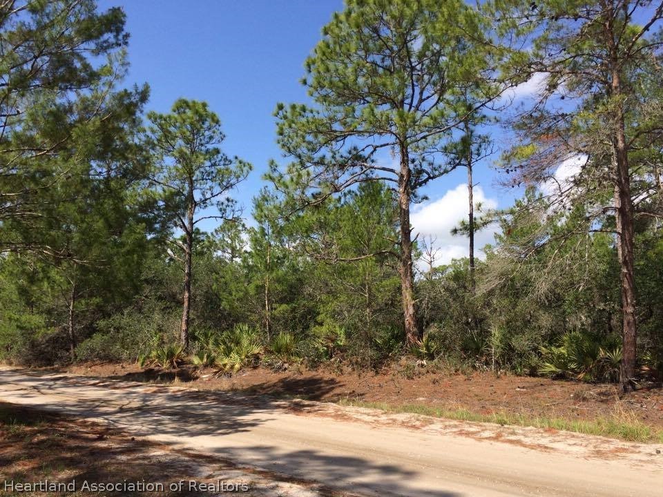 211 Nursery Road Sebring, FL 33875 - Photo 3 of 8 Gallery Image 3