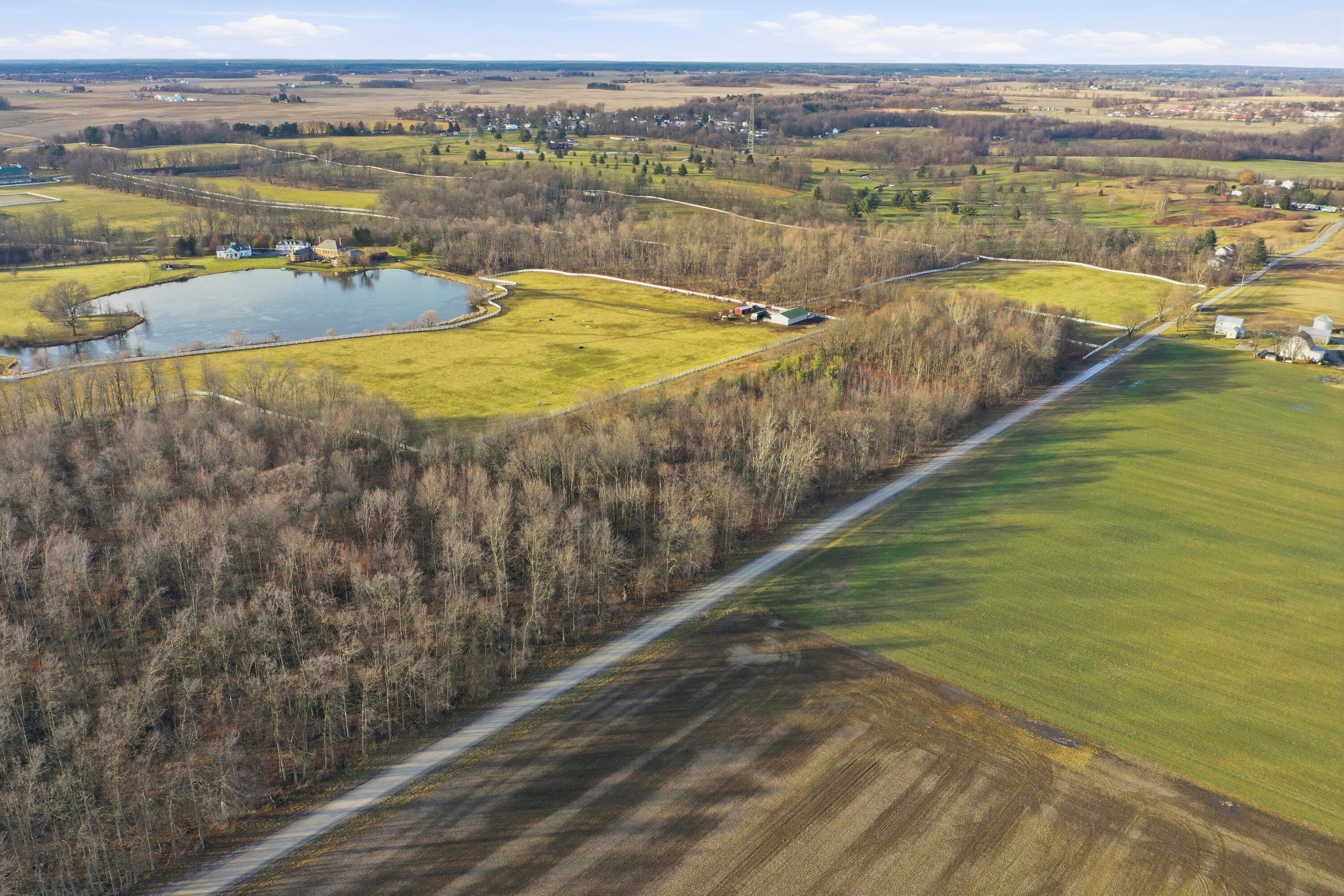 Over 81 Acres