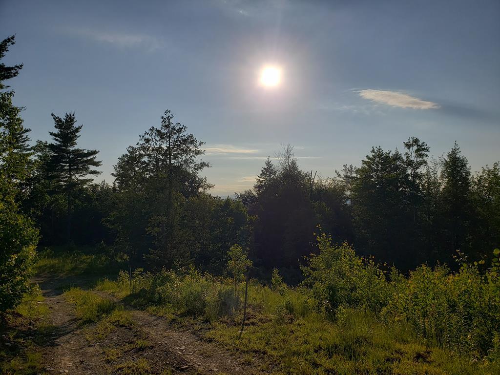 409 Hole In The Wall Road Solon, ME 04979 - Photo 32 of 40 20220621_183209_06-22-2022