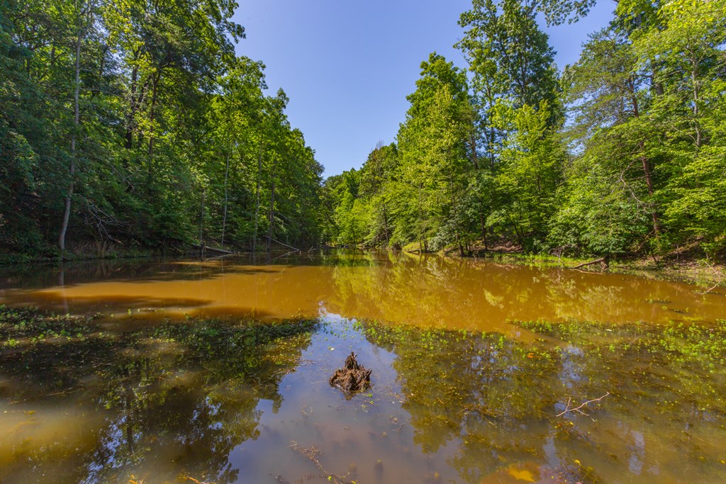 0 Cobb Road Chatsworth, GA 30705 - Photo 13 of 16