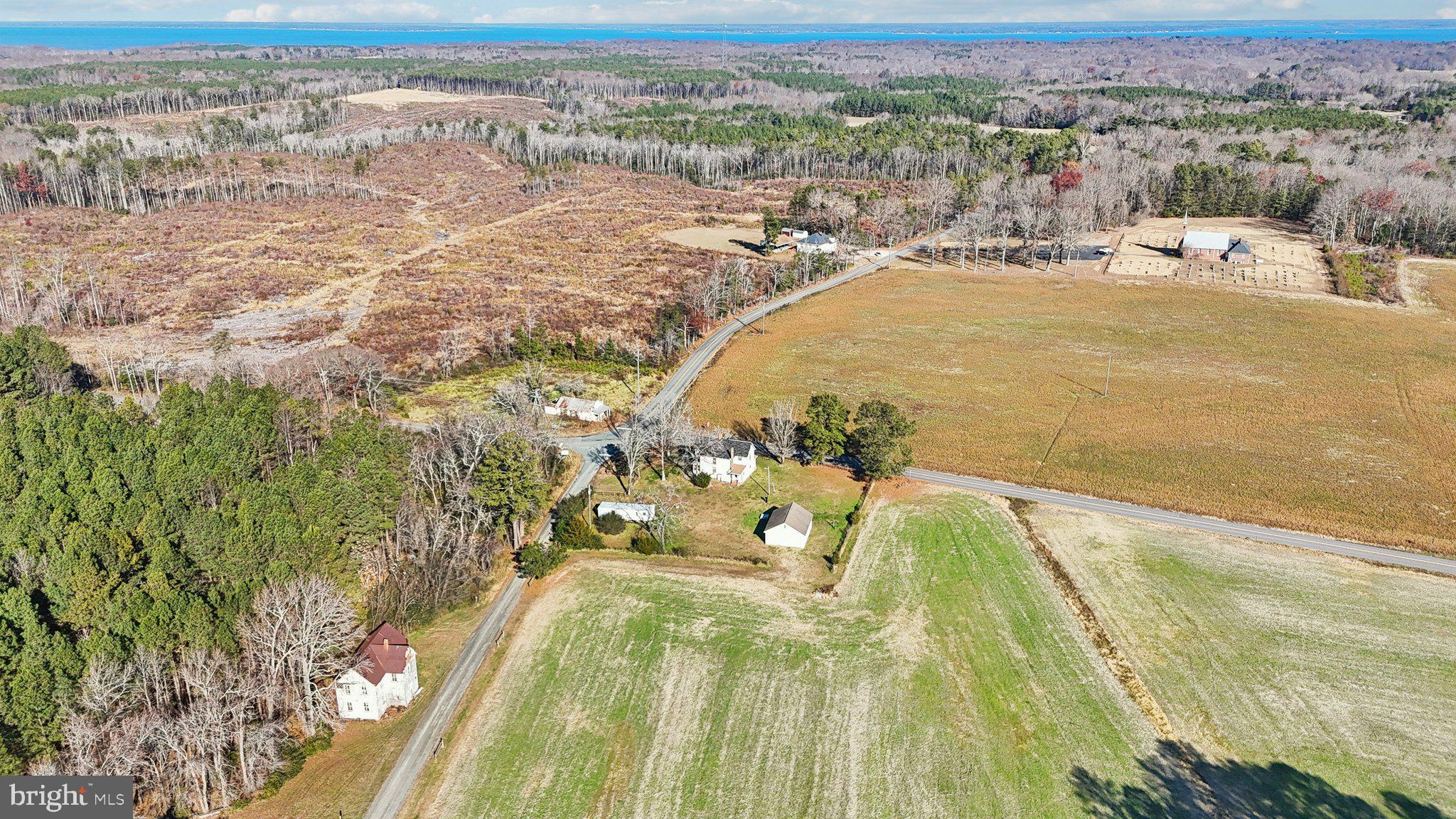 1475 Chilton Road Montross, VA 22520 - Photo 62 of 79 Field / Tree