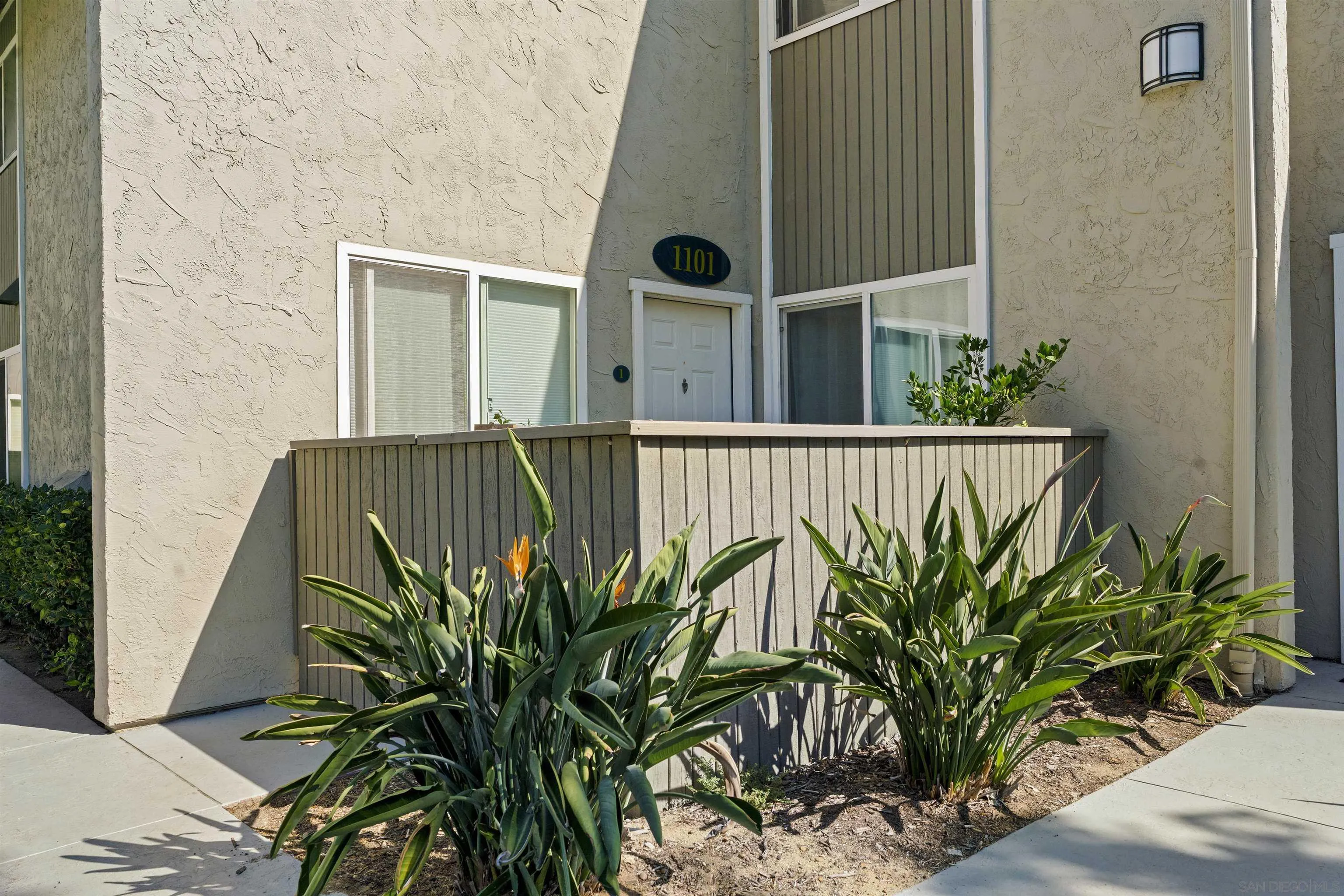 6333 College Grove Way, Unit 1101 (14) San Diego, CA 92115 - Photo 33 of 39 a close view of plant in front of a door