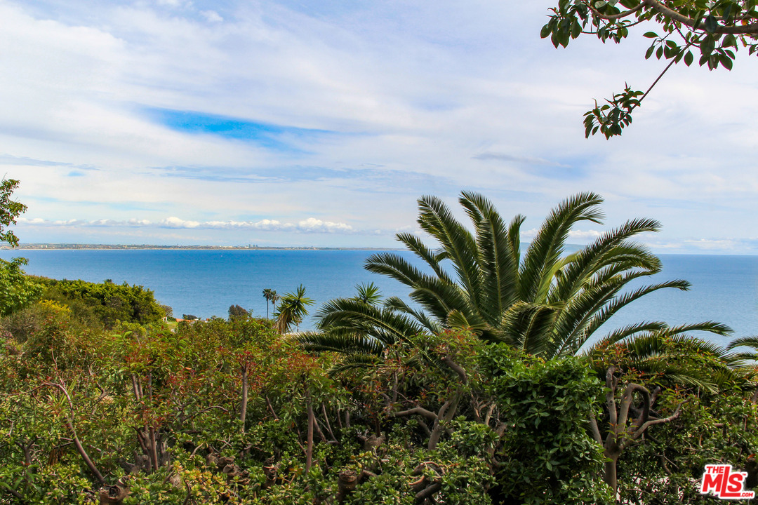 20490 Seaboard Road Malibu, CA 90265 - Photo 1 of 43 a view of a plant in front of a building