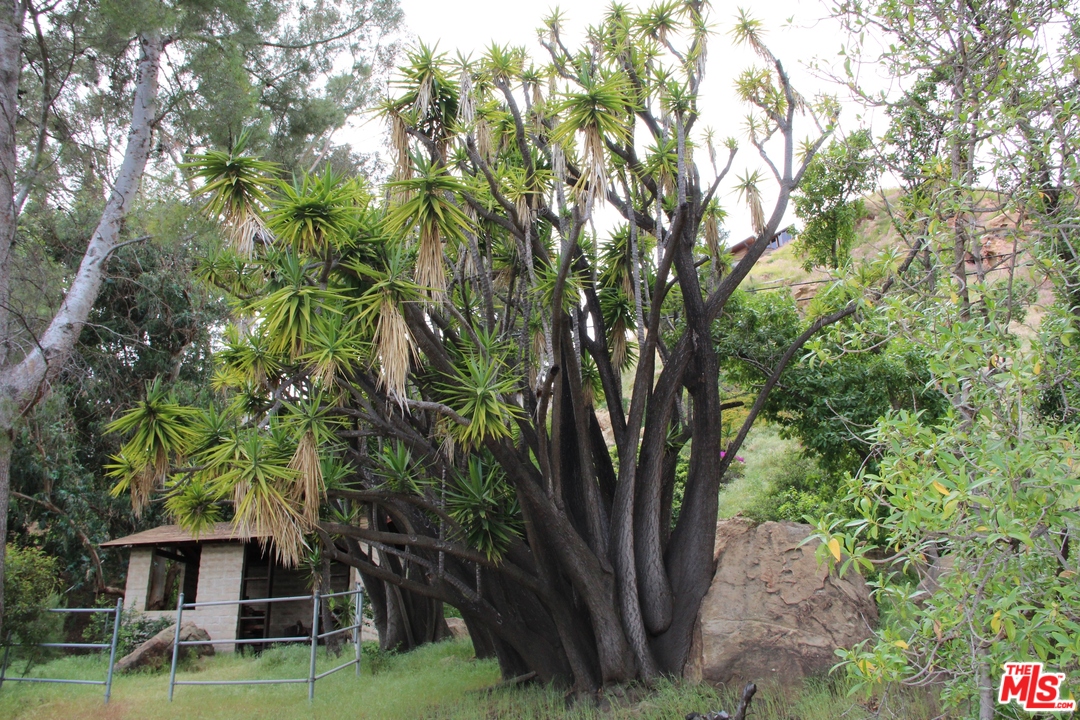 20490 Seaboard Road Malibu, CA 90265 - Photo 19 of 43 a backyard of a house with seating space