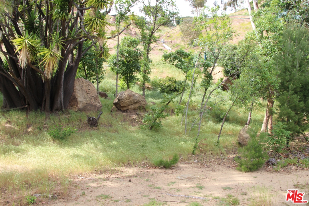 20490 Seaboard Road Malibu, CA 90265 - Photo 20 of 43 a view of a yard with a tree