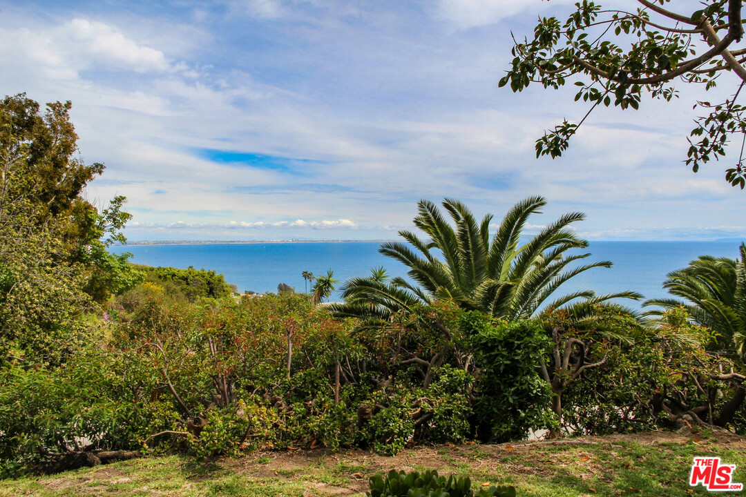 20490 Seaboard Road Malibu, CA 90265 - Photo 23 of 43 a view of a flower in a yard