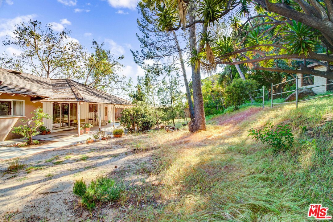 20490 Seaboard Road Malibu, CA 90265 - Photo 4 of 43 a view of a yard with plants and large trees