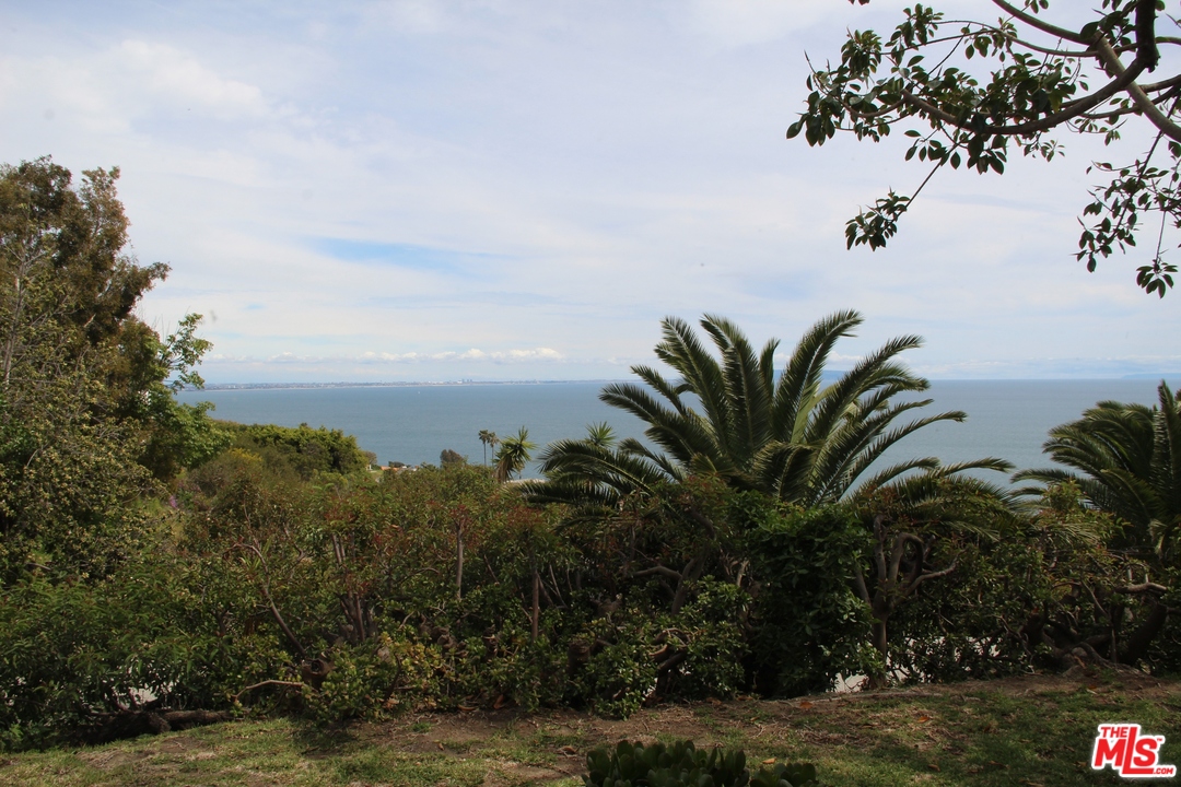 20490 Seaboard Road Malibu, CA 90265 - Photo 33 of 43 a view of a house with a palm tree