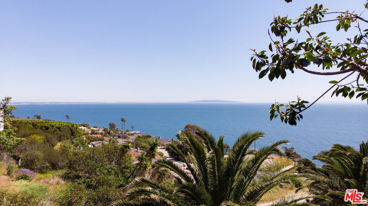 20490 Seaboard Road Malibu, CA 90265 - Photo 34 of 43 a view of a flower