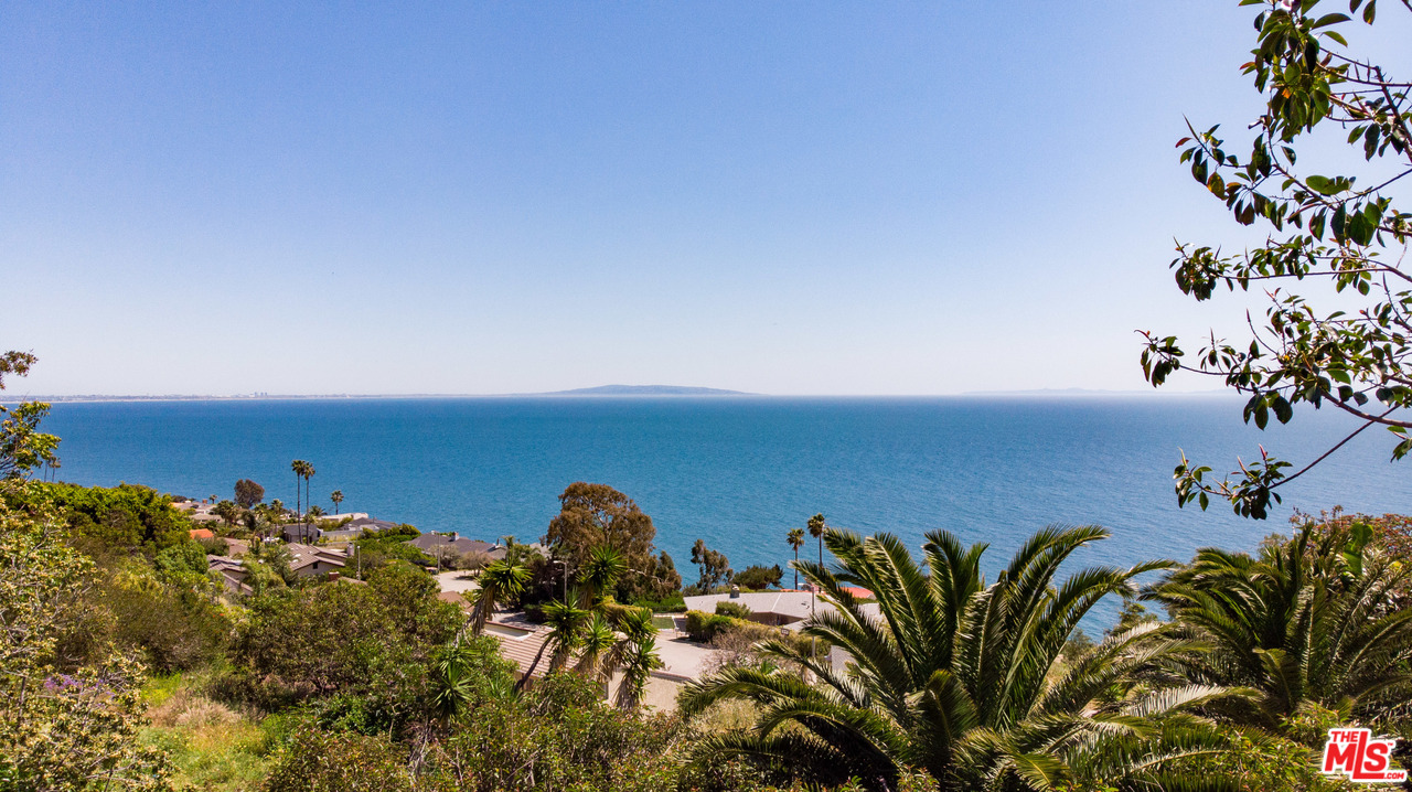 20490 Seaboard Road Malibu, CA 90265 - Photo 10 of 43 a view of a flower