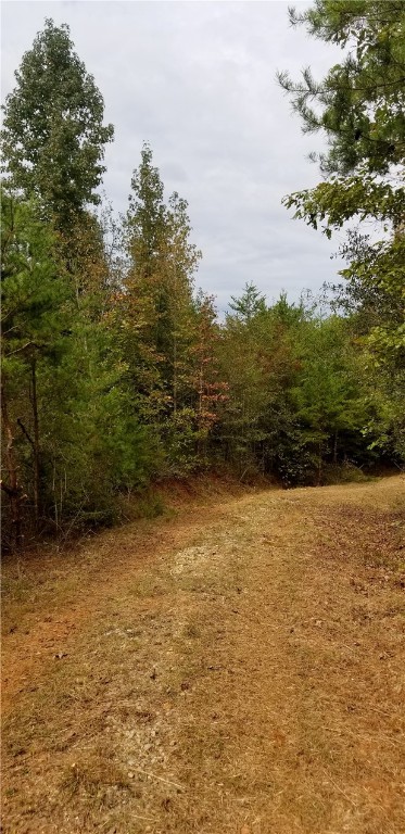 20.84-acres Cleveland Pike Road Westminster, SC 29693 - Photo 14 of 24 Gallery Image 14