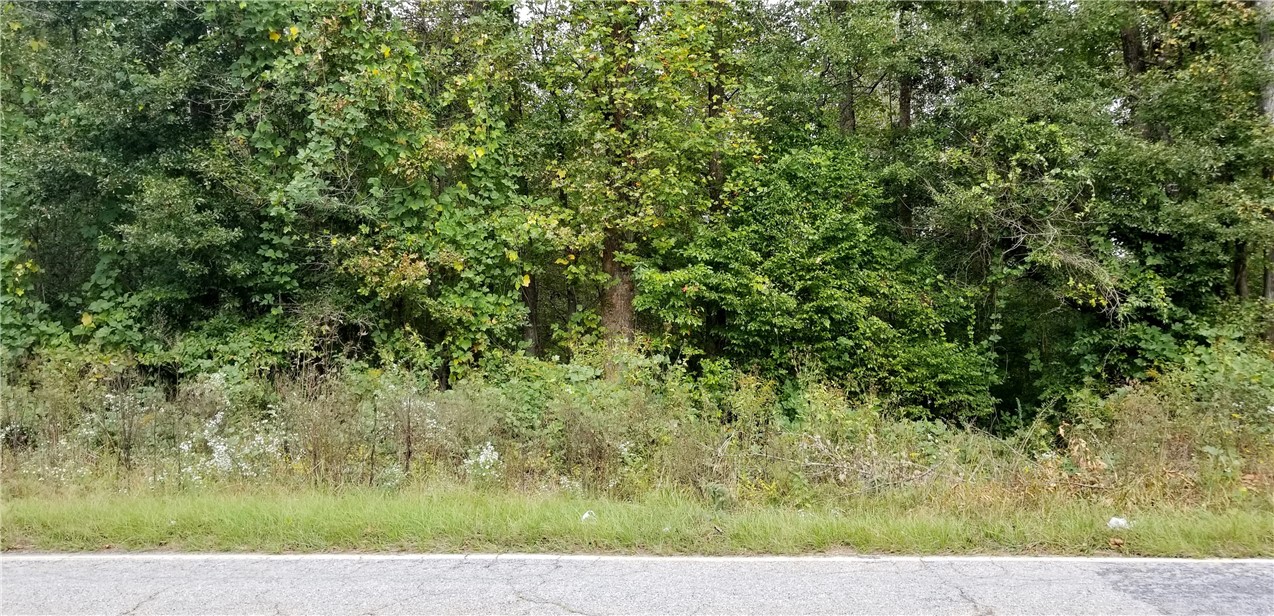 20.84-acres Cleveland Pike Road Westminster, SC 29693 - Photo 4 of 24 Street View