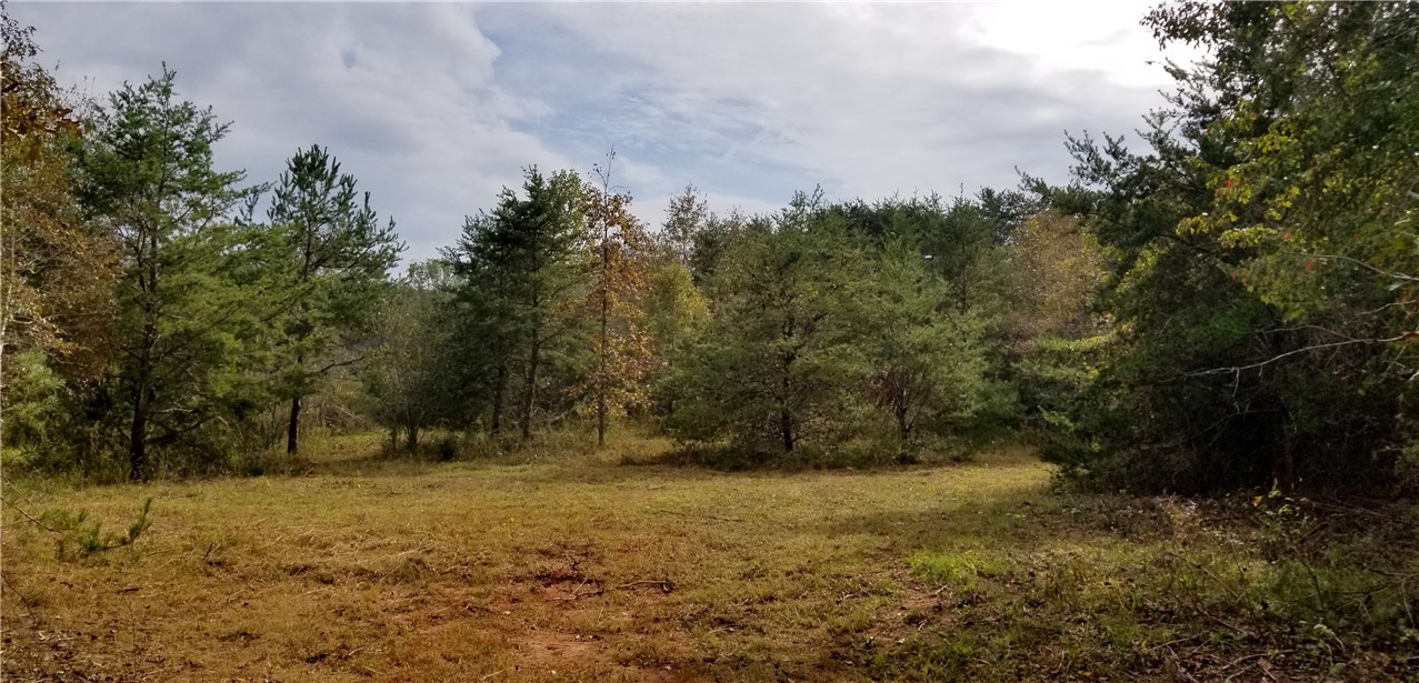 20.84-acres Cleveland Pike Road Westminster, SC 29693 - Photo 7 of 24 Gallery Image 7