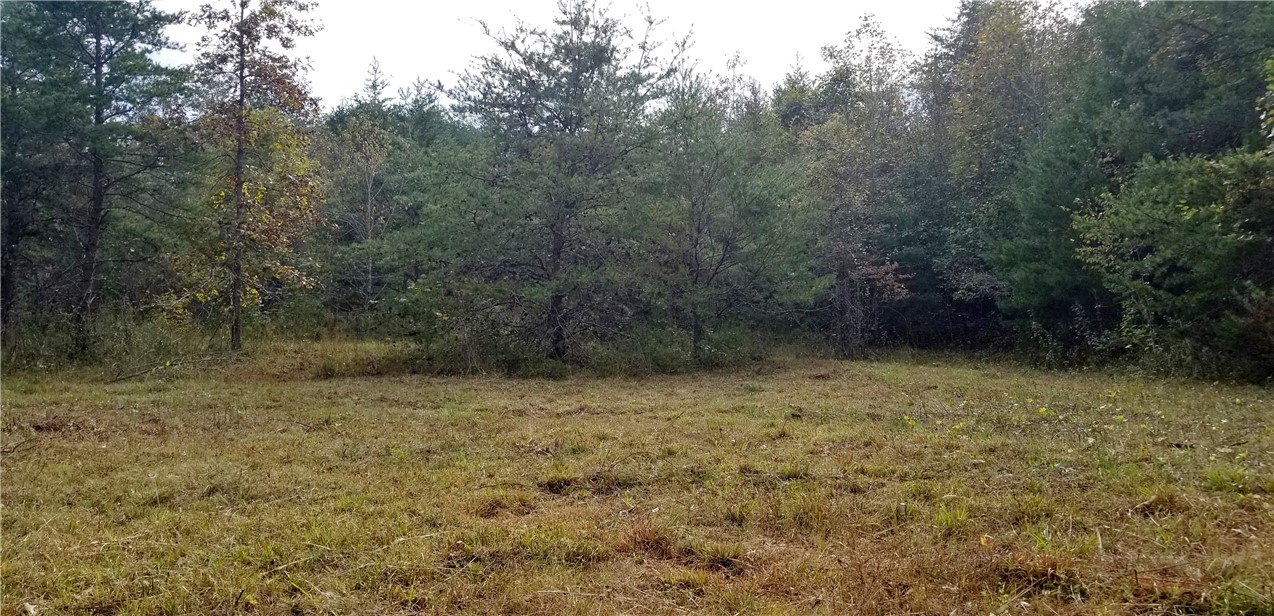 20.84-acres Cleveland Pike Road Westminster, SC 29693 - Photo 8 of 24 Gallery Image 8
