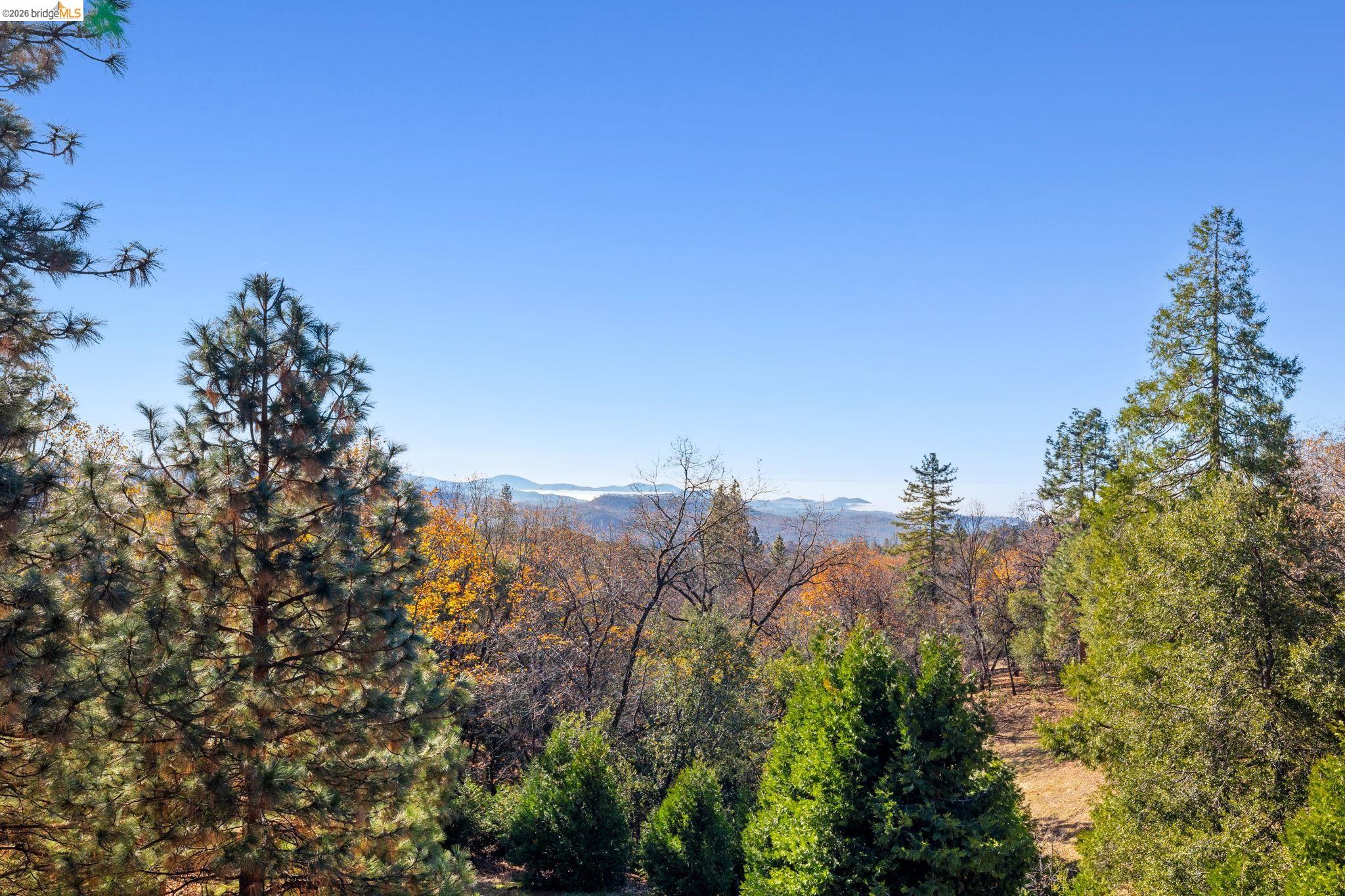 16144 Big Hill Road Sonora, CA 95370 - Photo 37 of 51 Expansive natural landscape featuring diverse tree species, including mature evergreens and deciduous trees with autumn foliage