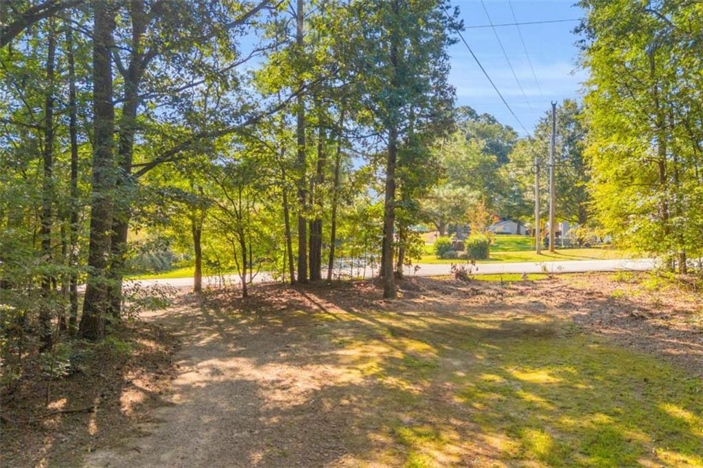 1329 Harmony Grove Church Road Auburn, GA 30011 - Photo 18 of 20 a view of road and trees
