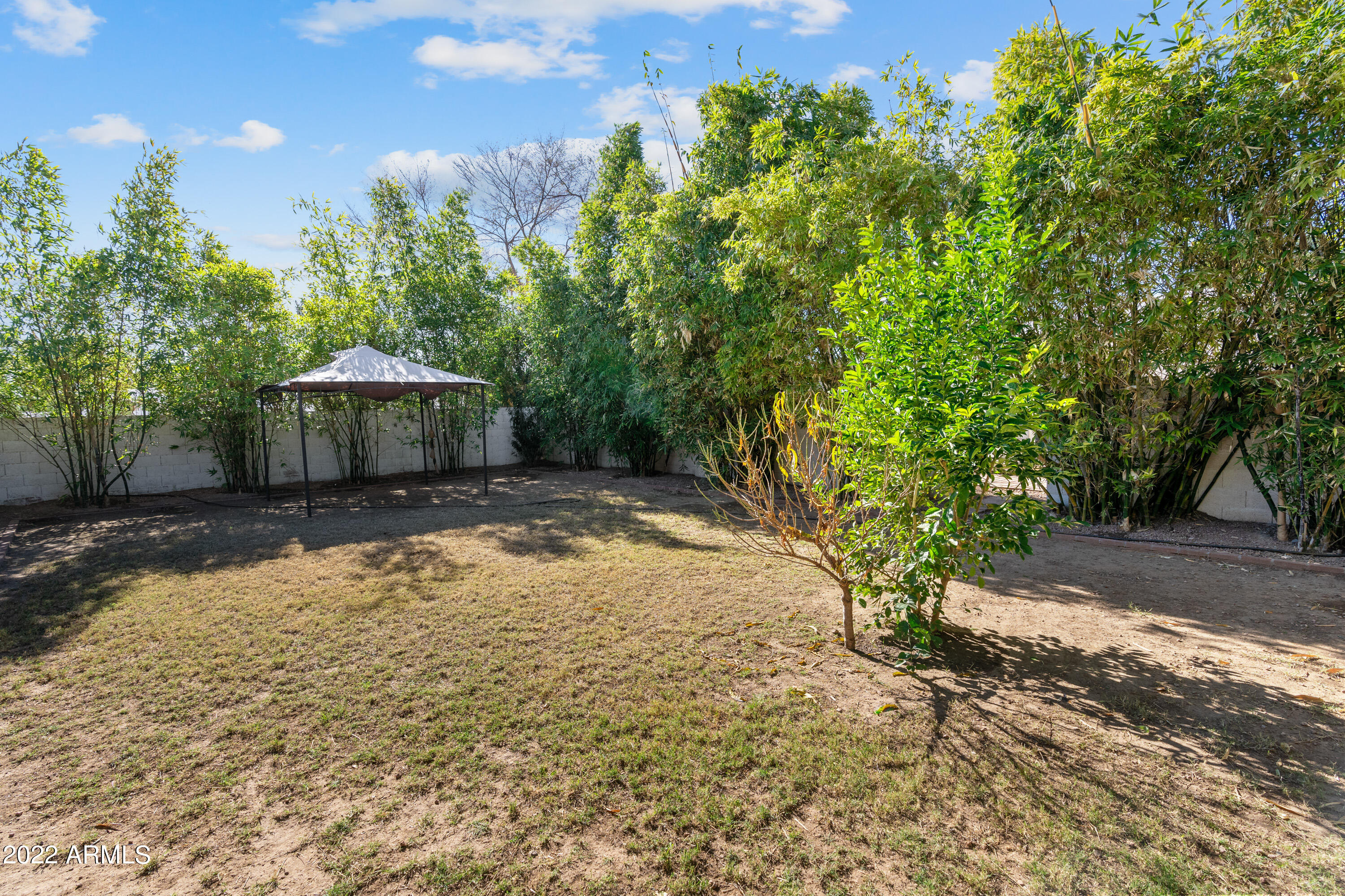 641 East Piping Rock Road Phoenix, AZ 85022 - Photo 24 of 32 DSC06587